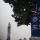 이우자판기