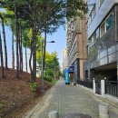 GS25 대전대학로 이미지