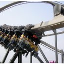 월드성인게임장 이미지