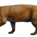 마이포유