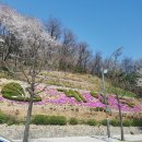 계양산산림욕장(장미원) 이미지