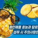 파인애플