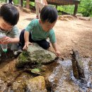 🌿새롬반 6월 첫째 주 이야기🐥 이미지