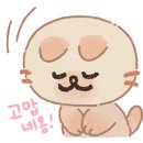 11월#김호증모가발 본사 체인점 가맹점교육 다녀온후기