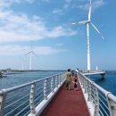 제주또올레 이미지