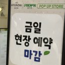 [서울/여의도/피크민 블룸] 더 현대 피크민 팝업스토어