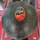 고당도 - 용인시 처인구 양지로 125-3 | 고당도