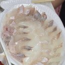 [속초맛집] 승희수산