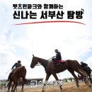 서부산승마랜드 이미지