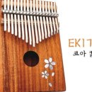 칼림바 이미지