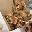 호시타코야끼 이미지