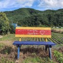 풀잎마을 이미지