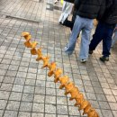 속초회오리감자 이미지