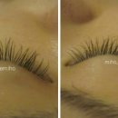 이미호아이래쉬 이미지