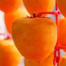 함안체육관 이미지