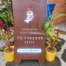 이솔팜빌리지 소리재 이미지