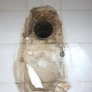 수원-1110 이미지