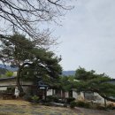 고려한의원 | 공주 야외 카페 추천 카페 고울 | 고려한의원 쌍화차 &amp; 피넛밤 솔직 후기