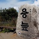 선기로2-7 Daum카페
