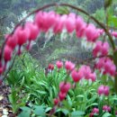 매봉산장 이미지