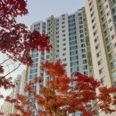 배방읍 모산로 네이버블로그