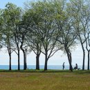 풍경 있는 호수 이미지