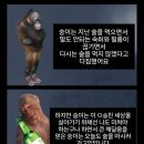 요이땅 네이버블로그