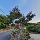 조가물민박 이미지