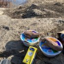 금오산고향촌식당 이미지