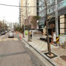 하나세인스톤1차 이미지