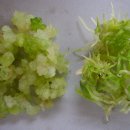 가정농장 이미지