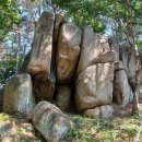 [경상남도 김해시] 비케이승마장