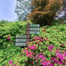 음성꽃동네심신장애인요양시설 | (진천음성) 4자매 음성꽃동네 다녀왔던 4월 풍경^^~4.29