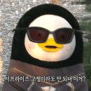 금참치 - 남양주시 늘을1로16번길 5 | 금참치