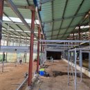 고서방흑염소 이미지