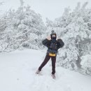 알피엠 | 러닝용품 추천 식스알피엠 러닝벨트 후기