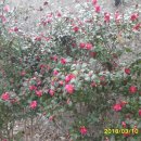 구포지하철역 이미지