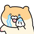 퍼니풀 이미지