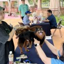 하스펫탈동물병원 이미지