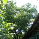 @ 북촌한옥마을 사찰 나들이, 삼청동 칠보사~안국동 선학원 ＜석정보름우물＞ 이미지