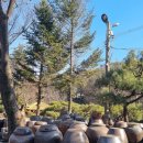 참나무쟁이카페 | [포천 맛집] 식당이야, 민속촌이야? 시간 여행 떠나는 한옥 맛집 '참나무쟁이' (내촌면)