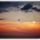 에벤에셀 이미지