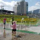 장흥물축제다녀왔어요 이미지