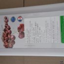 (주)지앤엘 이미지