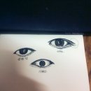도화눈