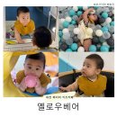 옐로베어 | 대전 대형 키즈카페 옐로우베어 내돈내산 후기