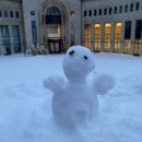 로바니에 빌리지 | 북유럽여행 핀란드 스웨덴 에스토니아 여행 패키지 feat. 오로라 투어