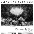 소티제로 이미지