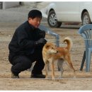 비상초등학교 이미지