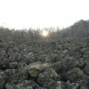고성 제3기 현무암: 신비로운 용암 지형 이미지